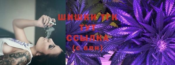 дмт Зеленодольск