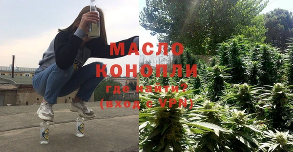 дмт Зеленодольск
